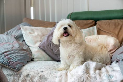 Photo of property in 31 Reynolds Place, Papamoa Beach, Papamoa, 3118