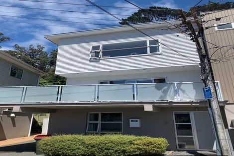 Photo of property in 3a Anderson Terrace, Mount Cook, Wellington, 6021