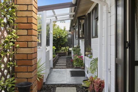 Photo of property in 66 Campbell Road, Mount Maunganui, 3116