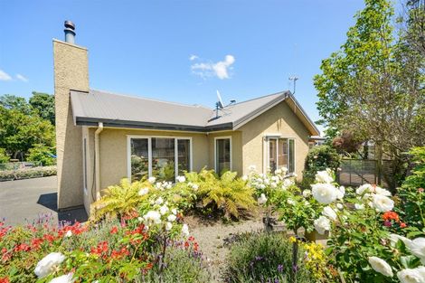 Photo of property in 207 Salisbury Street, Ashhurst, 4810