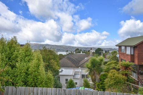 Photo of property in 8 Leven Street, Roslyn, Dunedin, 9010