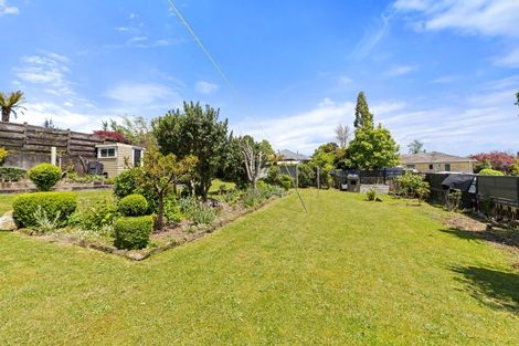 Photo of property in 18 Terrace Street, Putaruru, 3411