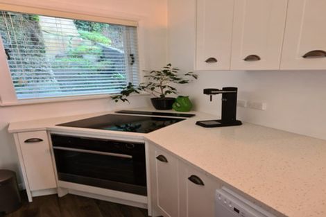 Photo of property in 137 Elizabeth Street, Mount Victoria, Wellington, 6011