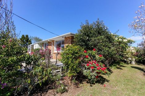 Photo of property in 172b Pembroke Street, Westown, New Plymouth, 4310