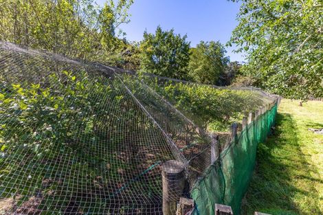 Photo of property in Ruatiti Cottage, 1693 Ruatiti Road, Ruatiti, Raetihi, 4696