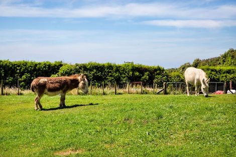 Photo of property in 1327 South Road, Kaitake, New Plymouth, 4374