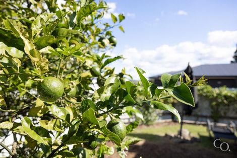 Photo of property in 22a Hinerua Street, Maungatapu, Tauranga, 3112