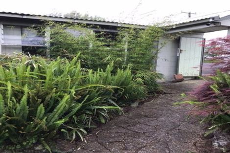 Photo of property in 69 Fourth Avenue, Kingsland, Auckland, 1021