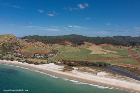 Photo of property in 550 Black Jack Road, Opito Bay, Whitianga, 3592