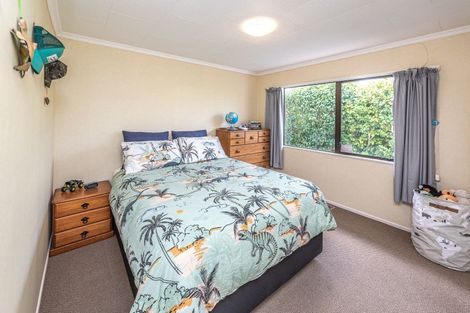 Photo of property in 38a Toi Street, Tawhero, Whanganui, 4501