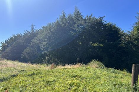 Photo of property in 471 State Highway 7, Kaiata, Greymouth, 7805