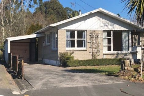 Photo of property in 19 Hudson Street, Riverlea, Hamilton, 3216