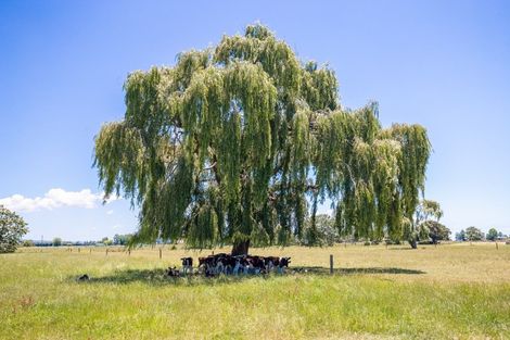 Photo of property in 331 Piako Road, Turua, Thames, 3574