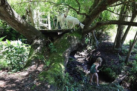 Photo of property in 27 Galt Street, Hawera, 4610