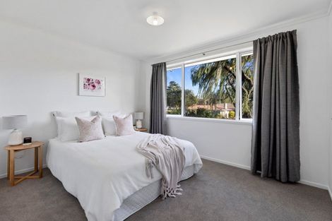 Photo of property in 18 Regent Street, Brookfield, Tauranga, 3110