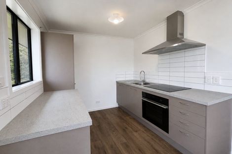 Photo of property in 43 Saint Lawrence Street, Toi Toi, Nelson, 7010