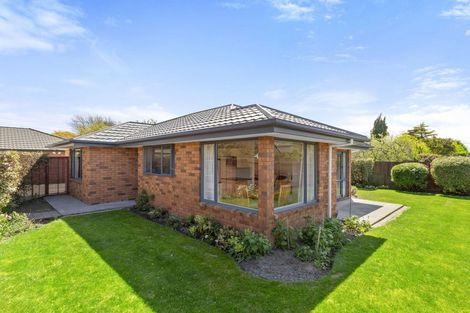 Photo of property in 43 Richards Avenue, Papanui, Christchurch, 8053