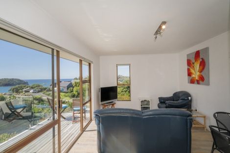 Photo of property in 87 Grange Road, Hahei, Whitianga, 3591