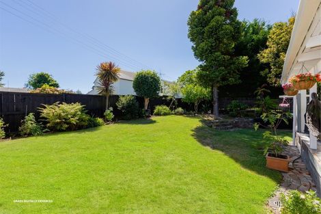 Photo of property in 127 Otumoetai Road, Brookfield, Tauranga, 3110