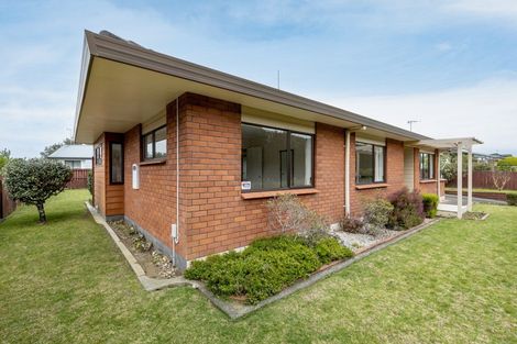 Photo of property in 7 Marshall Avenue, Greerton, Tauranga, 3112