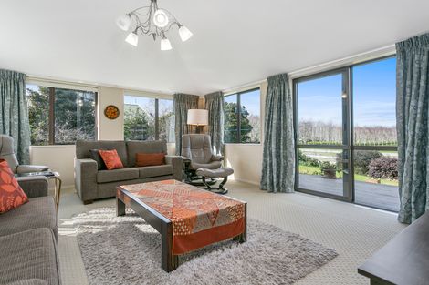 Photo of property in 84 Burwood Road, Matamata, 3400