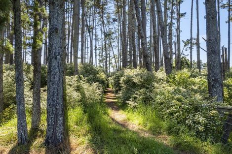 Photo of property in 74 Brookvale Lane, Taupaki, 0782