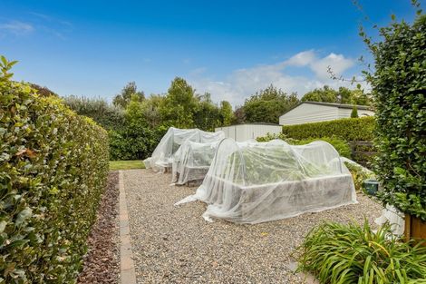 Photo of property in 16 Shadbolt Drive, Leamington, Cambridge, 3432