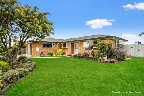 Photo of property in 14 Clifford Place, Amberley, 7410