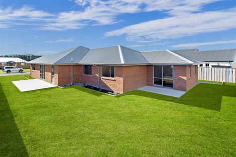 Photo of property in 8 Denton Street, Amberley, 7410