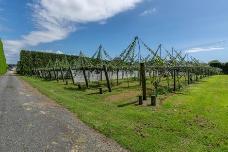 Photo of property in 154b Wairoa Road, Minden, Tauranga, 3171