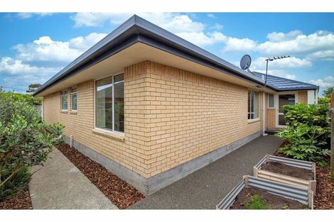 Photo of property in 85a Halswell Road, Hillmorton, Christchurch, 8025