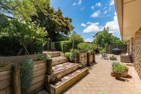 Photo of property in 99 Lake Crescent, Hamilton Lake, Hamilton, 3204