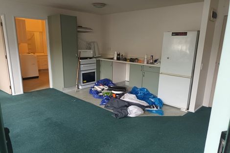 Photo of property in Palm Grove Apartments, 8/13d Palm Grove, Berhampore, Wellington, 6023