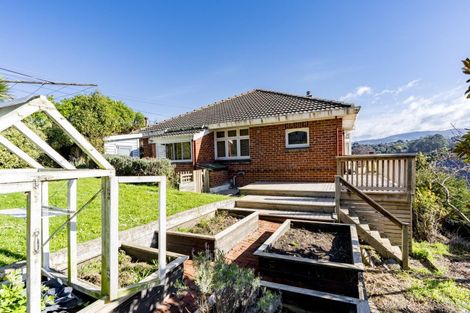 Photo of property in 49 Sunbury Street, Andersons Bay, Dunedin, 9013