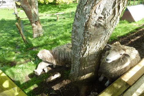 Photo of property in 94a Allen Street, Morrinsville, 3300