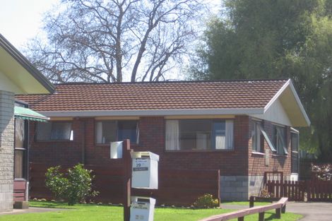 Photo of property in 29 Hayes Avenue, Gate Pa, Tauranga, 3112