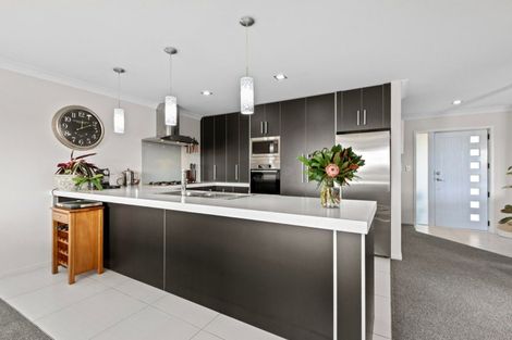 Photo of property in 33 Merriman Place, Pyes Pa, Tauranga, 3112