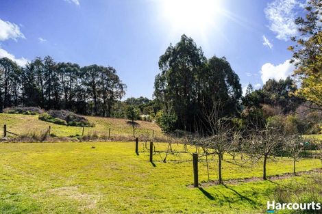 Photo of property in 367 The Coastal Hway, Redwood Valley, Richmond, 7081