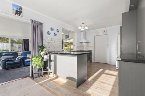 Photo of property in 27 Macarthur Street, Levin, 5510