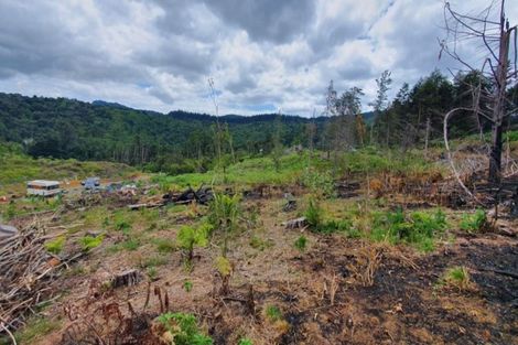 Photo of property in 574 Honeymoon Valley Road, Peria, Kaitaia, 0482