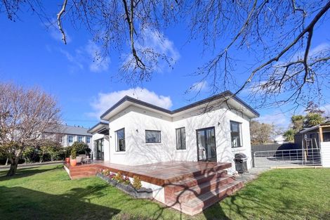 Photo of property in 184 Park Street, Winton, 9720