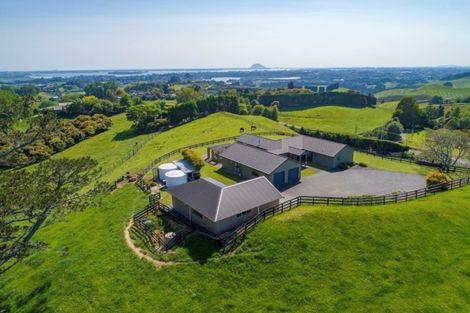 Photo of property in 198 Whakamarama Road, Whakamarama, Tauranga, 3179