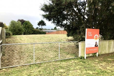 Photo of property in 145 Rolleston Street, Rakaia, 7710