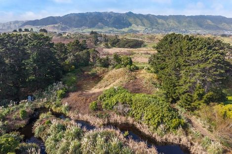 Photo of property in 91a Paetawa Road, Peka Peka, Waikanae, 5391