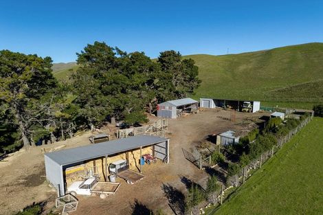 Photo of property in 453 Tetley Brook Road, Seddon, 7285