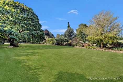 Photo of property in 3 Albion Street, Lumsden, 9793