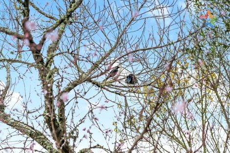 Photo of property in 1279a High Street, Taita, Lower Hutt, 5011