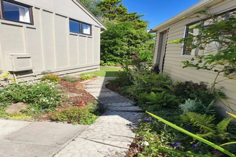 Photo of property in 13a Savage Crescent, West End, Palmerston North, 4412