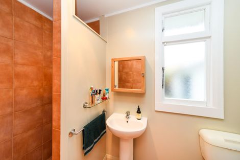 Photo of property in 48 Limbrick Street, Terrace End, Palmerston North, 4410