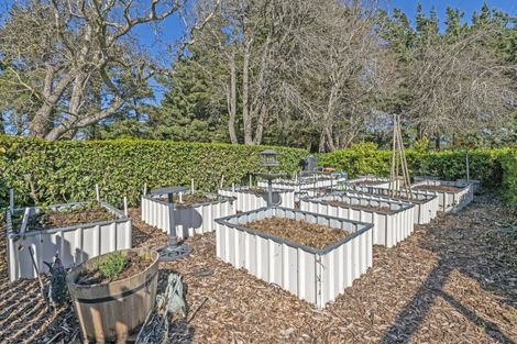 Photo of property in 176 Adams Road, Greendale, Christchurch, 7671